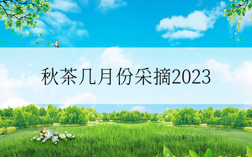 秋茶几月份采摘2023