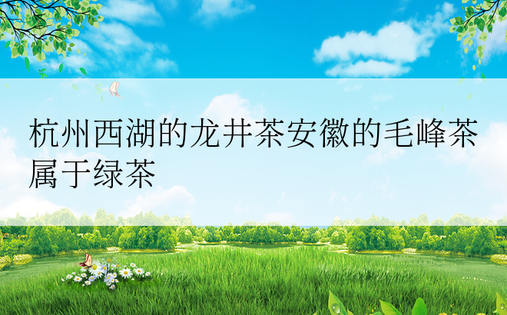 杭州西湖的龙井茶安徽的毛峰茶属于绿茶