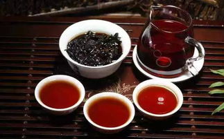 冬天有茶叶生产吗