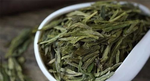 如何判断茶叶品种