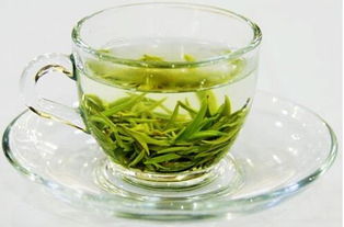 不同产区绿茶的风味对比